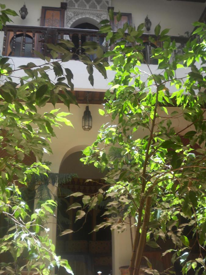 Double Room Sindibad