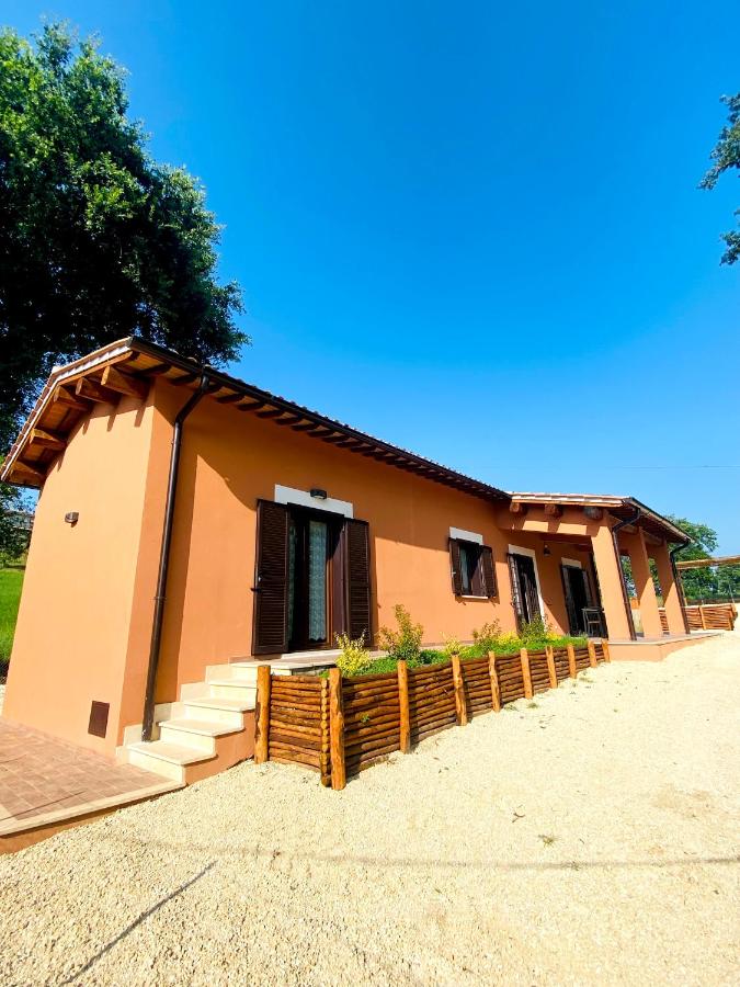 B&B Gavignano - Il Casaletto - Bed and Breakfast Gavignano