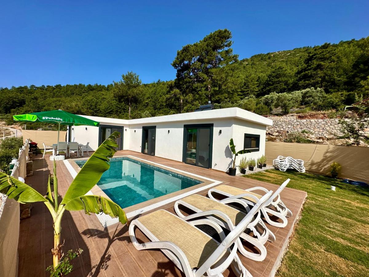 Sapphire - Ferienwohnung