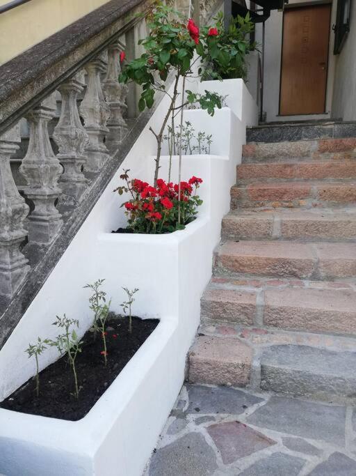 Il Cavallino, sul lago Ceresio - Ferienwohnung