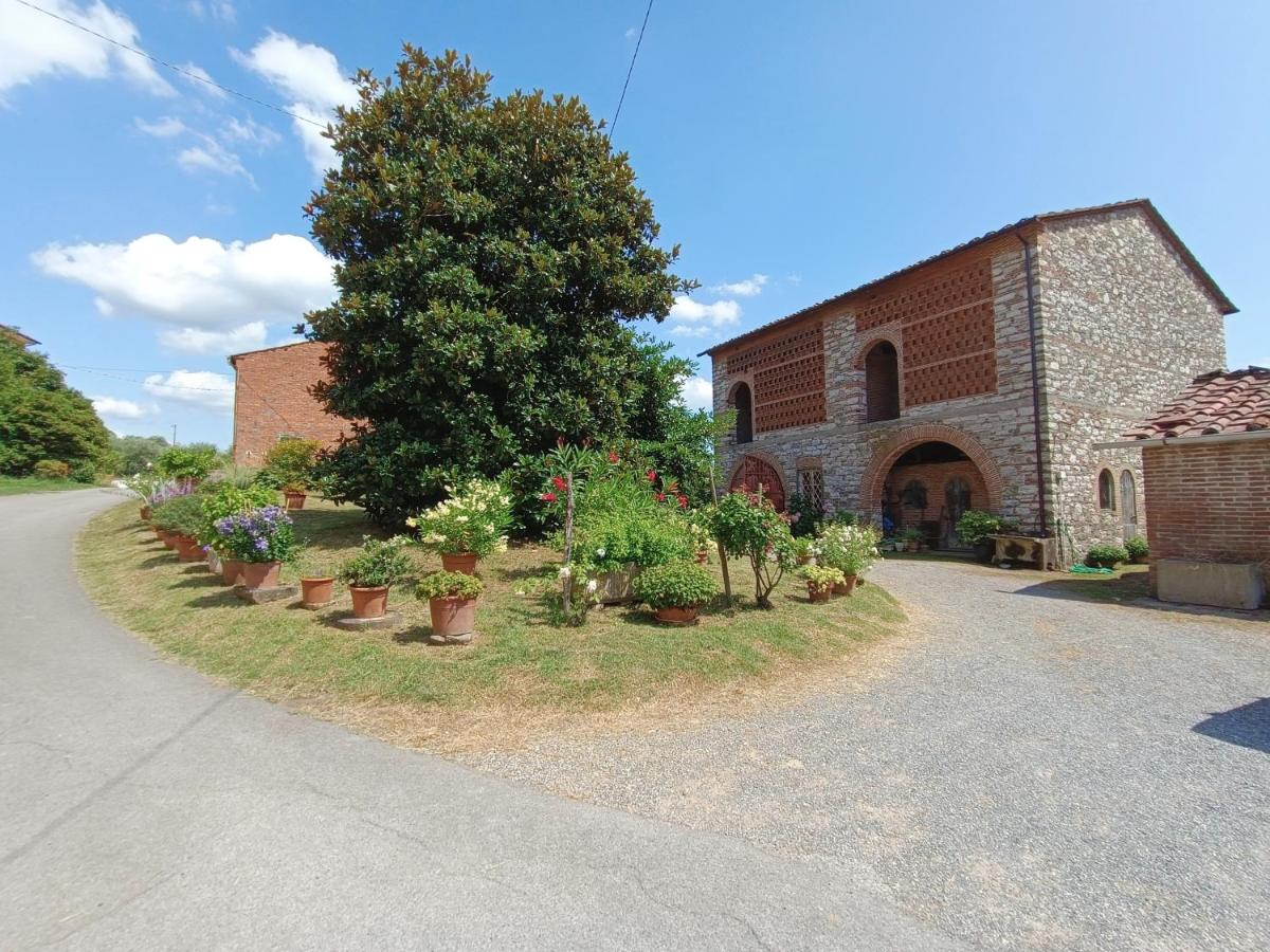 Corte Bicchio 11 ospiti - Bed and Breakfast Capannori