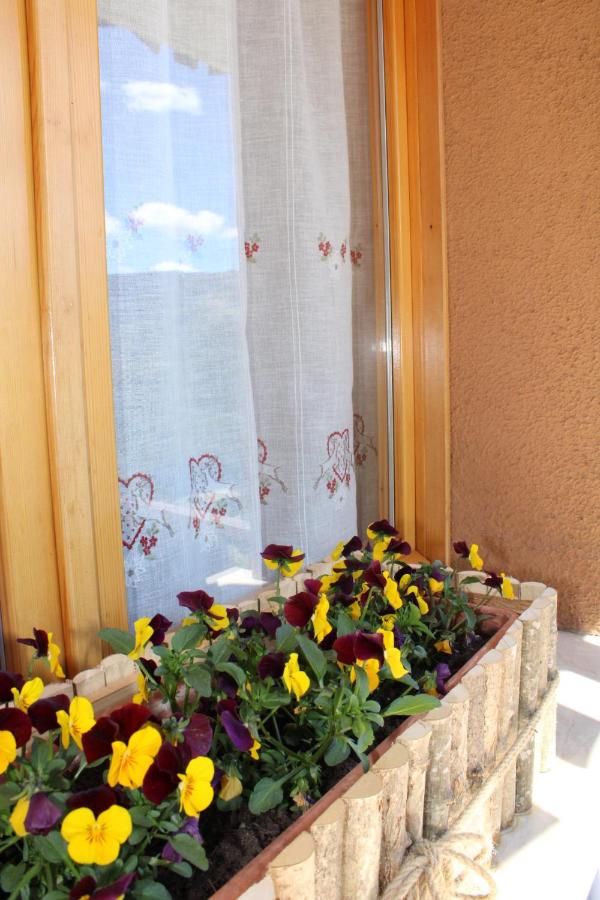 I profumi del bosco - B&B Enego
