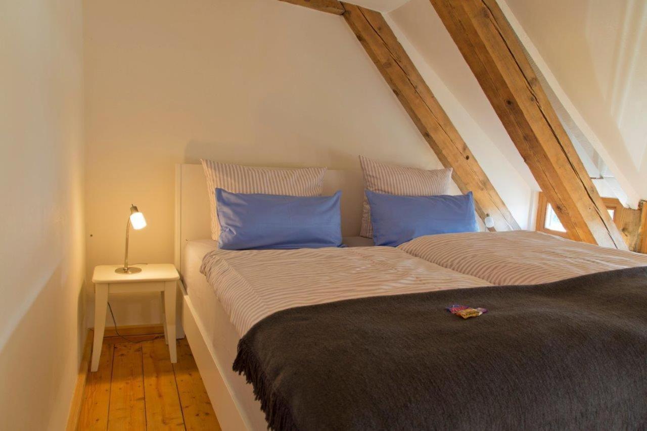 Large One-Bedroom Apartment
