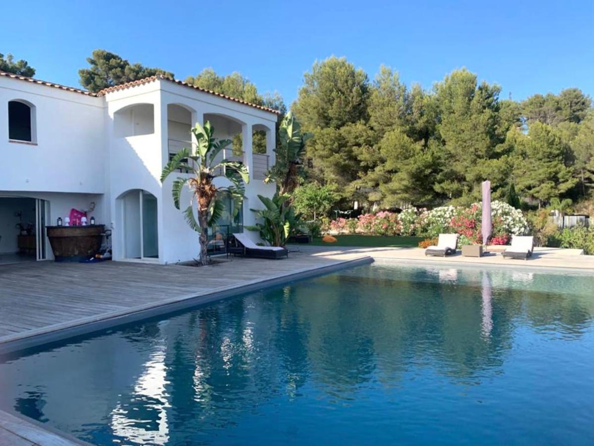 Villa vue mer et pinède - B&B