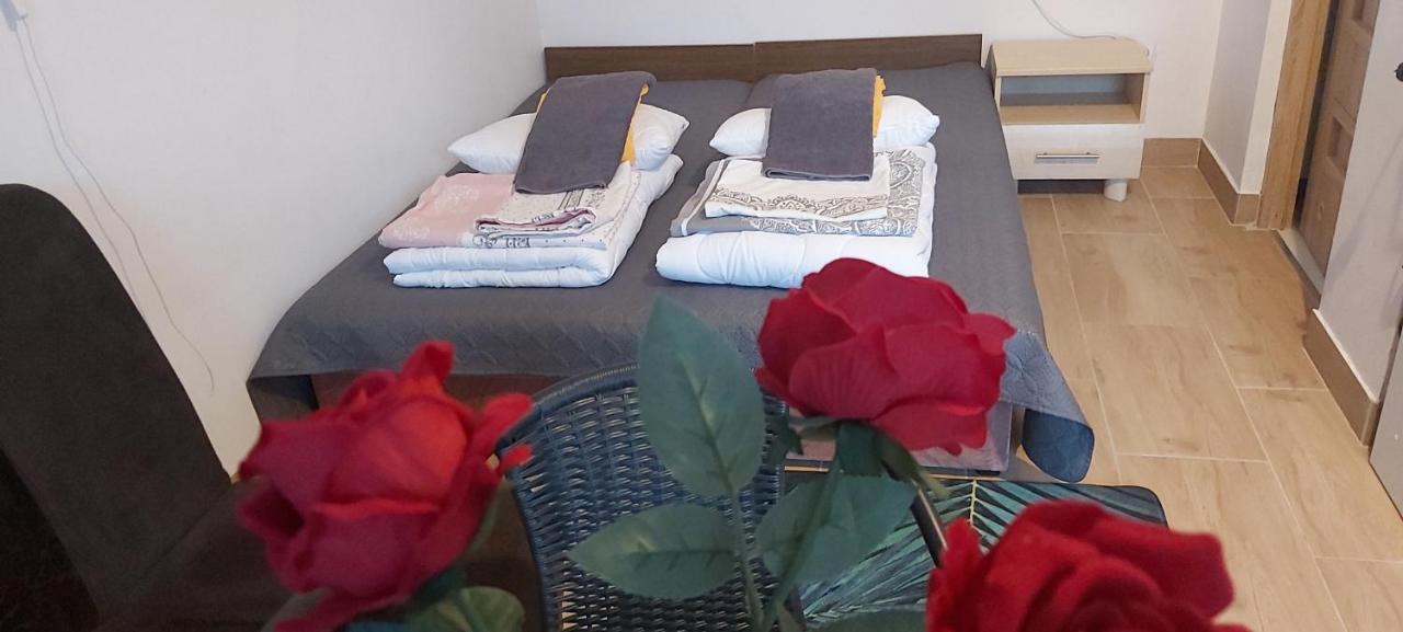 Sea Sun Darłówko Apartaments - B&B Darłówko