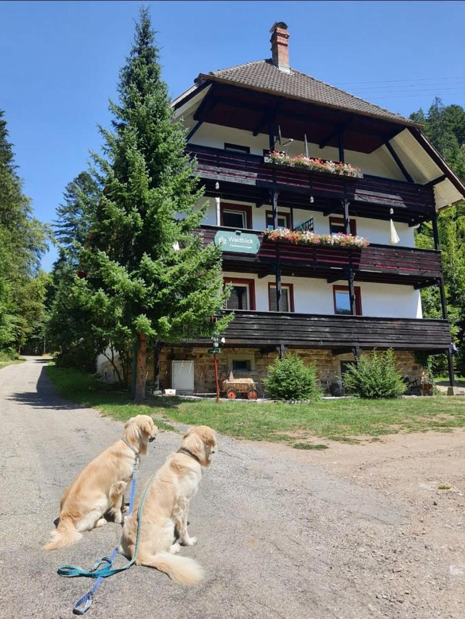 B&B Bonndorf - Waldblick Ferienwohnungen - Bed and Breakfast Bonndorf