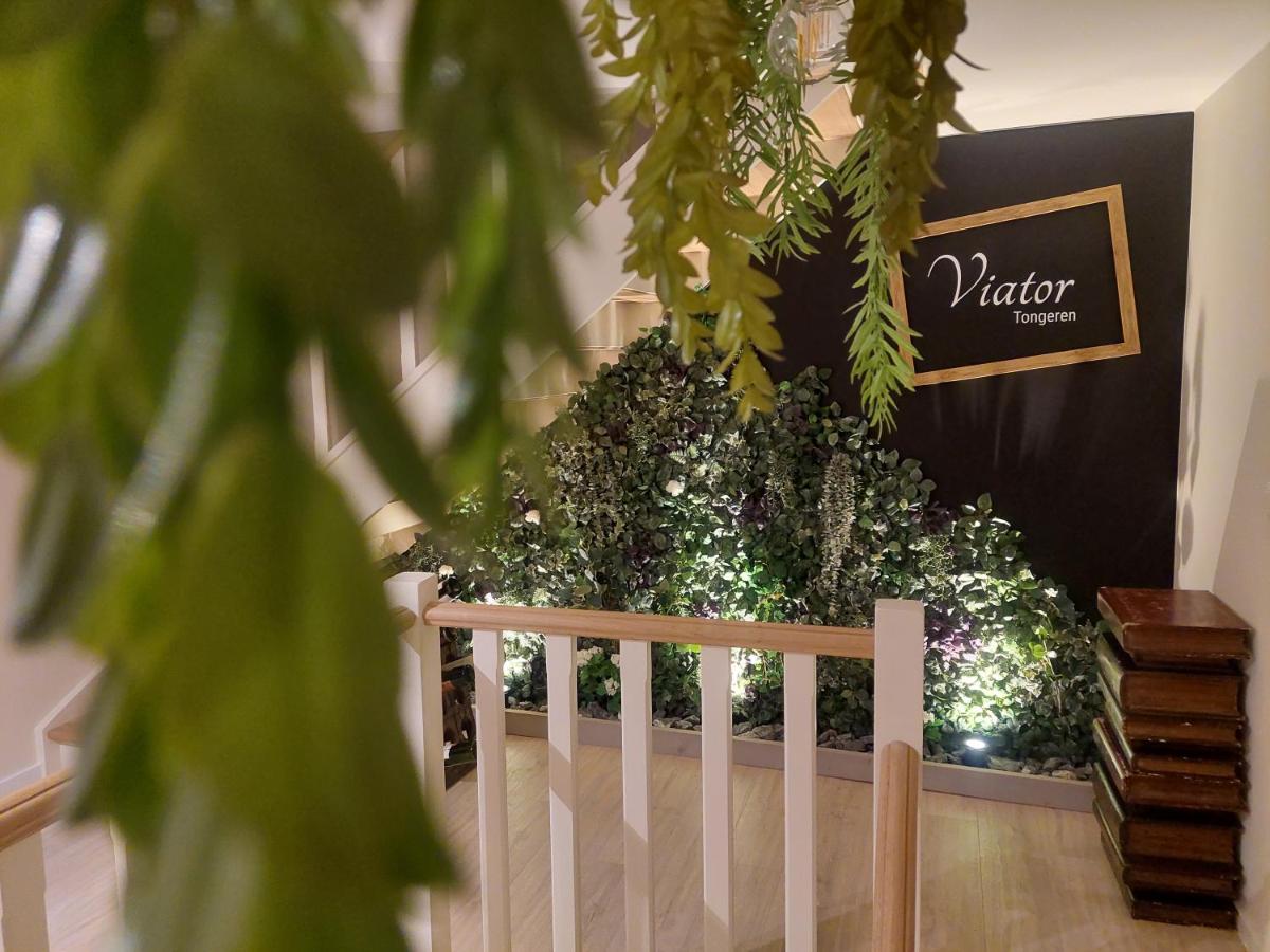 Viator Holidayhome - B&B Tongres