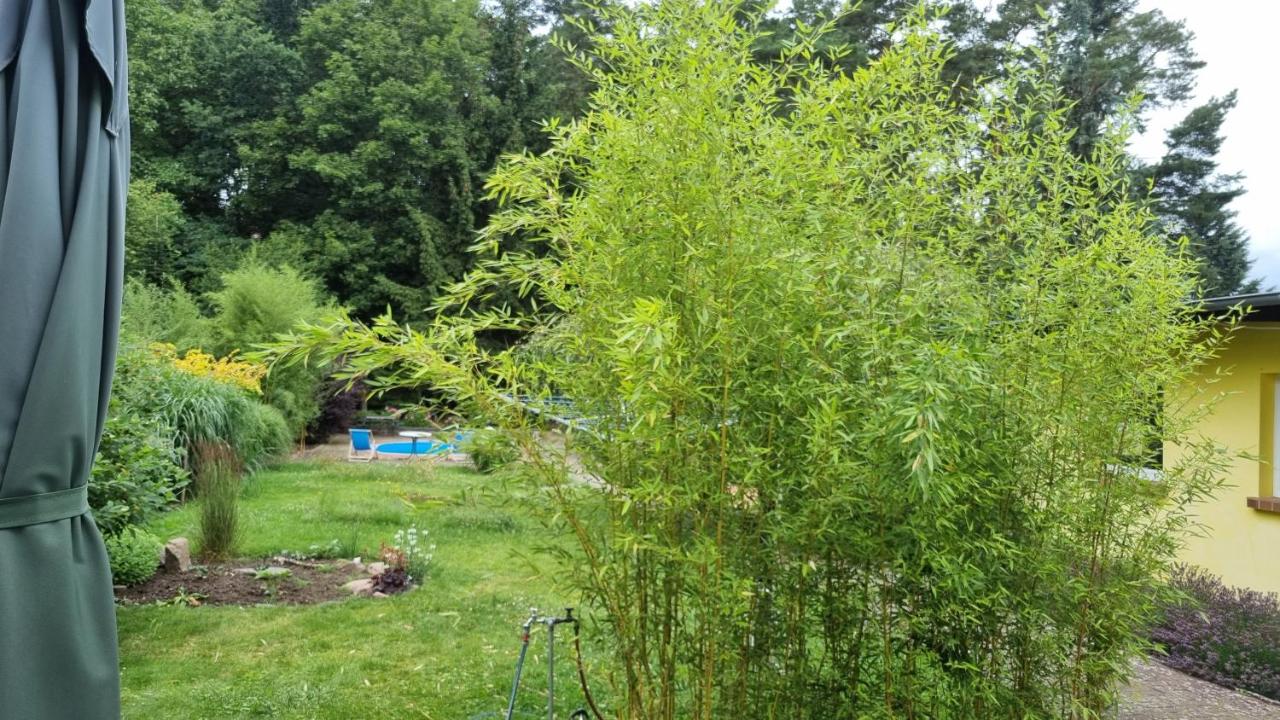 Ferienwohnung Schorfheide Krüger - B&B Joachimsthal