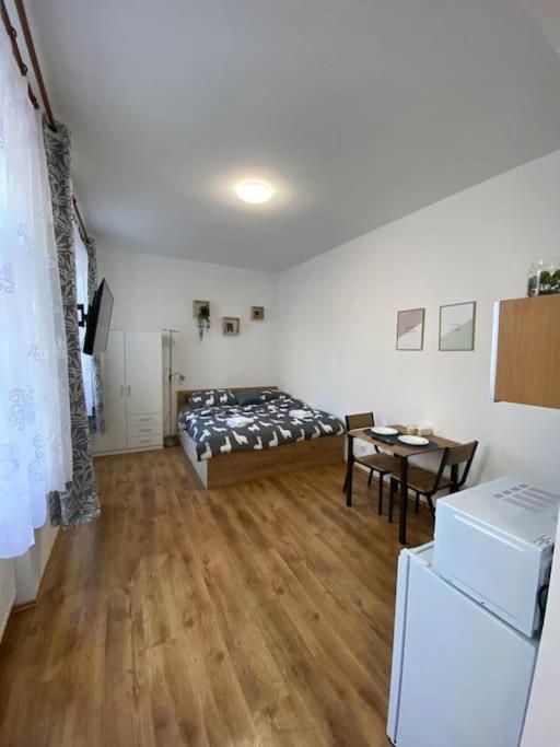 Cozy 1 BR studio in the center of Pilsen - B&B