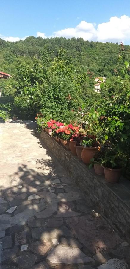 Το Σπίτι της Ευτυχίας Σουίτα - Bed and Breakfast