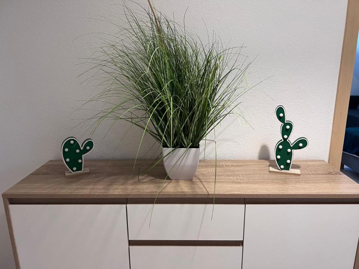 Rose No. 6 DG, klimatisiert - B&B Friedrichshafen