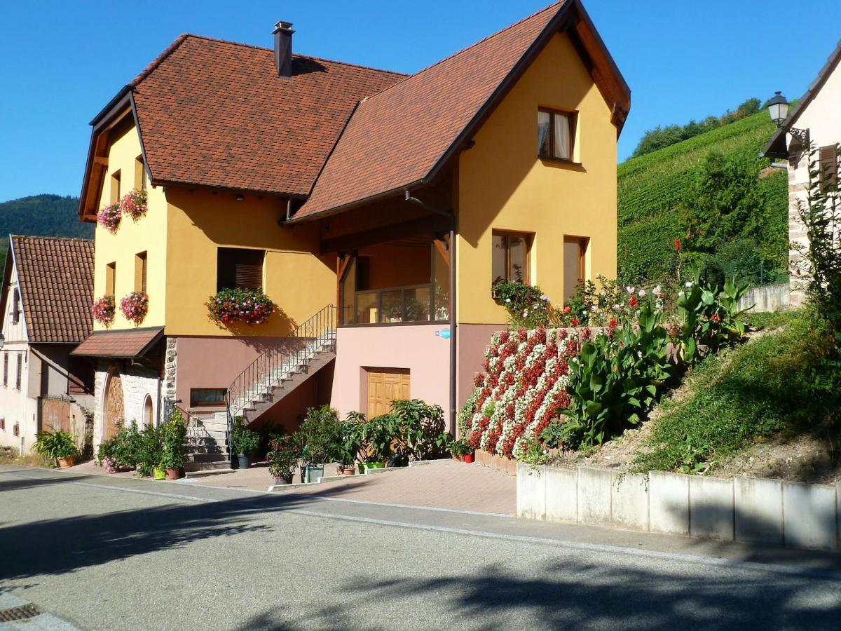 Appartement cosy à Bernardvillé 60 m² avec jardin vue montagne - B&B