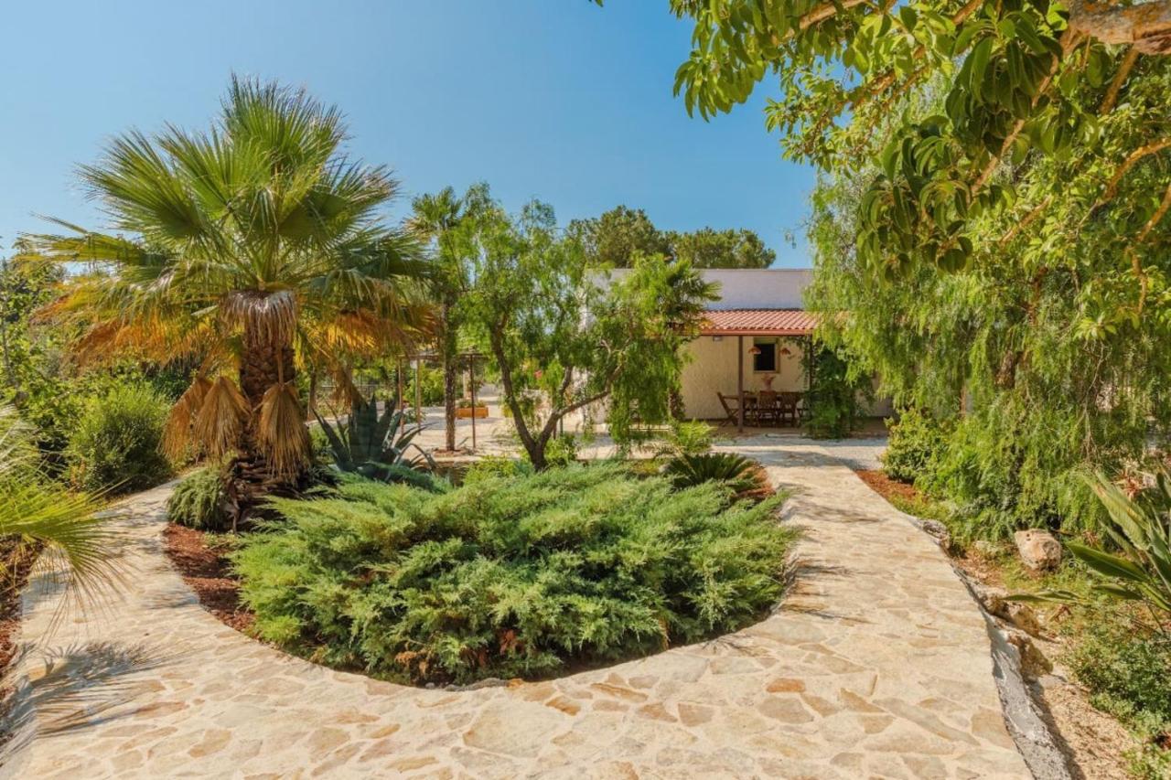 Casa Tina con piscina - B&B San Vito dei Normanni