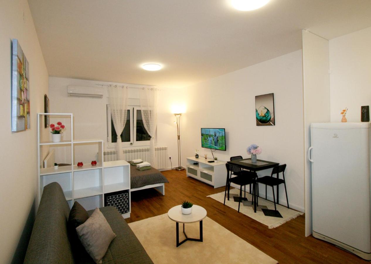 B&B Belgrado - Apartment Sanja - Bed and Breakfast Belgrado