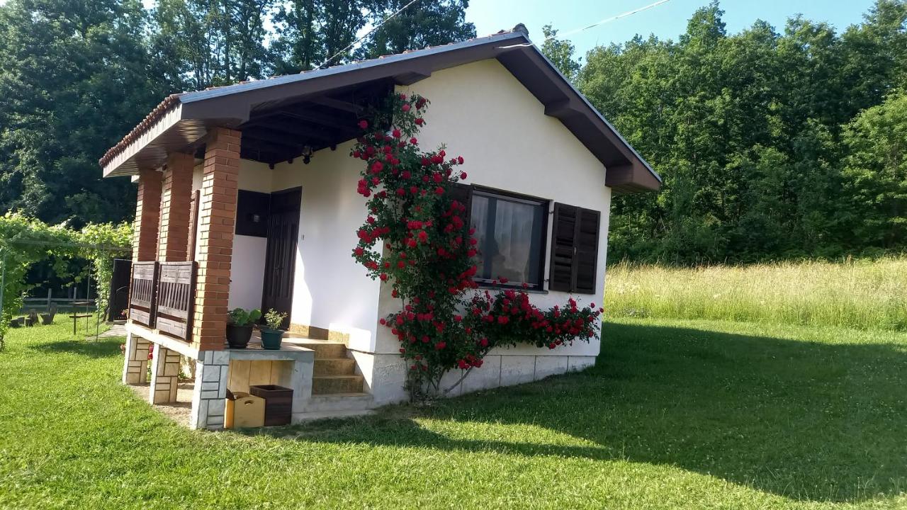 B&B Kosjerić - Šumska čarolija - Bed and Breakfast Kosjerić