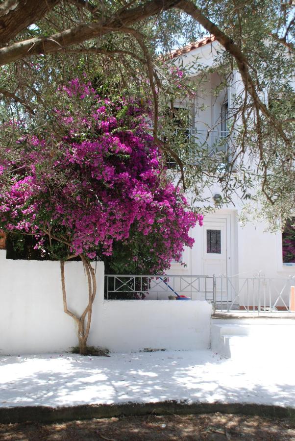 Katelios Farm House Loft - B&B