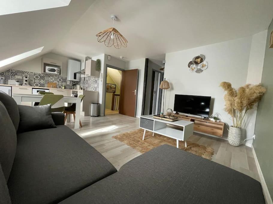 T2 cœur de ville thème bohème - B&B Rodez