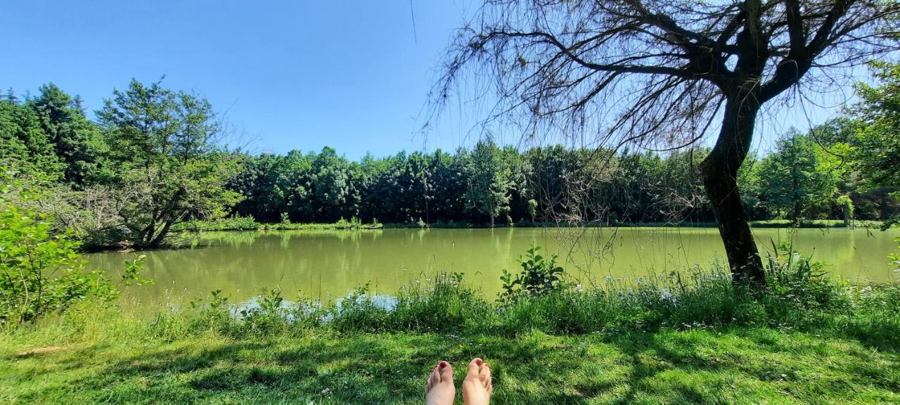 Les étangs du moulin d'Harcy - B&B Lonny