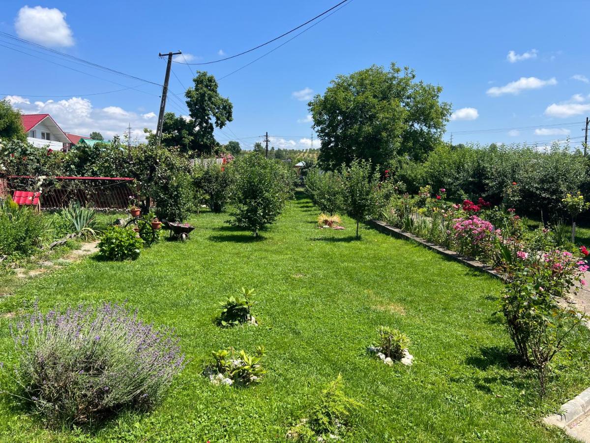 Accommodation Casa Luca - B&B