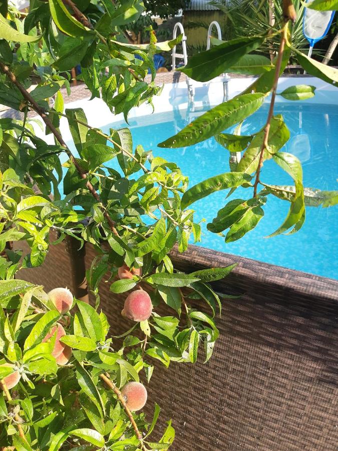 Il nido - B&B Cecina