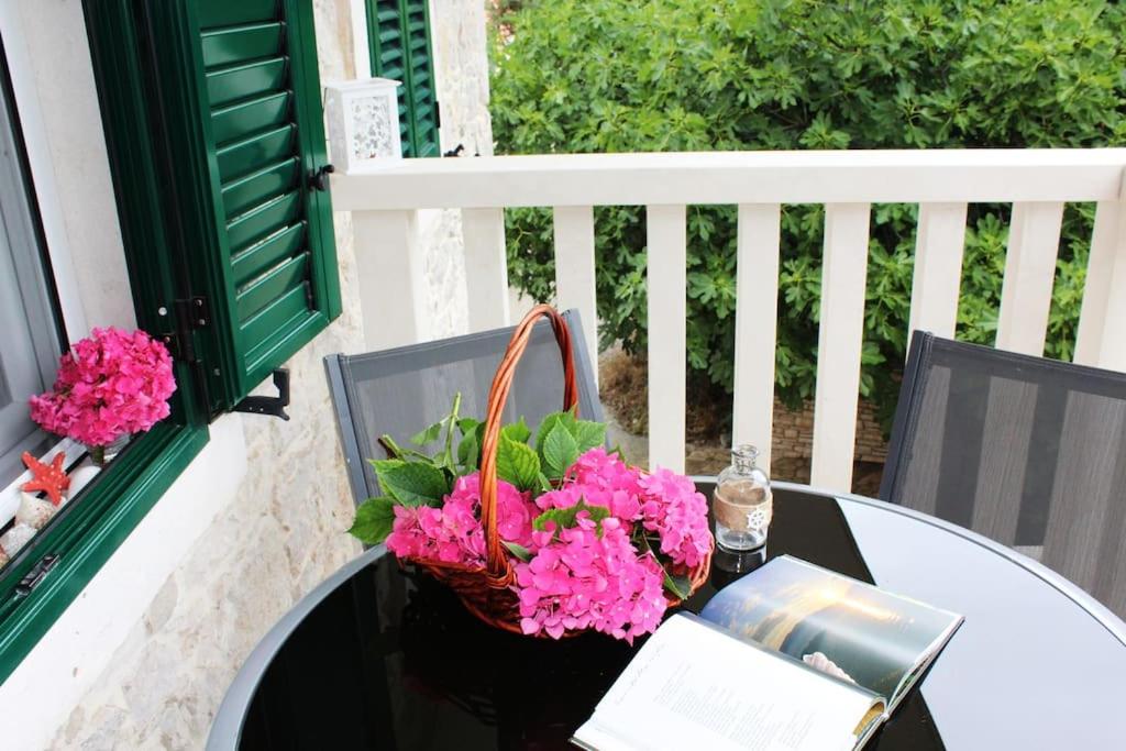 Blossom apartment Duba Peljeska / 1st floor - B&B