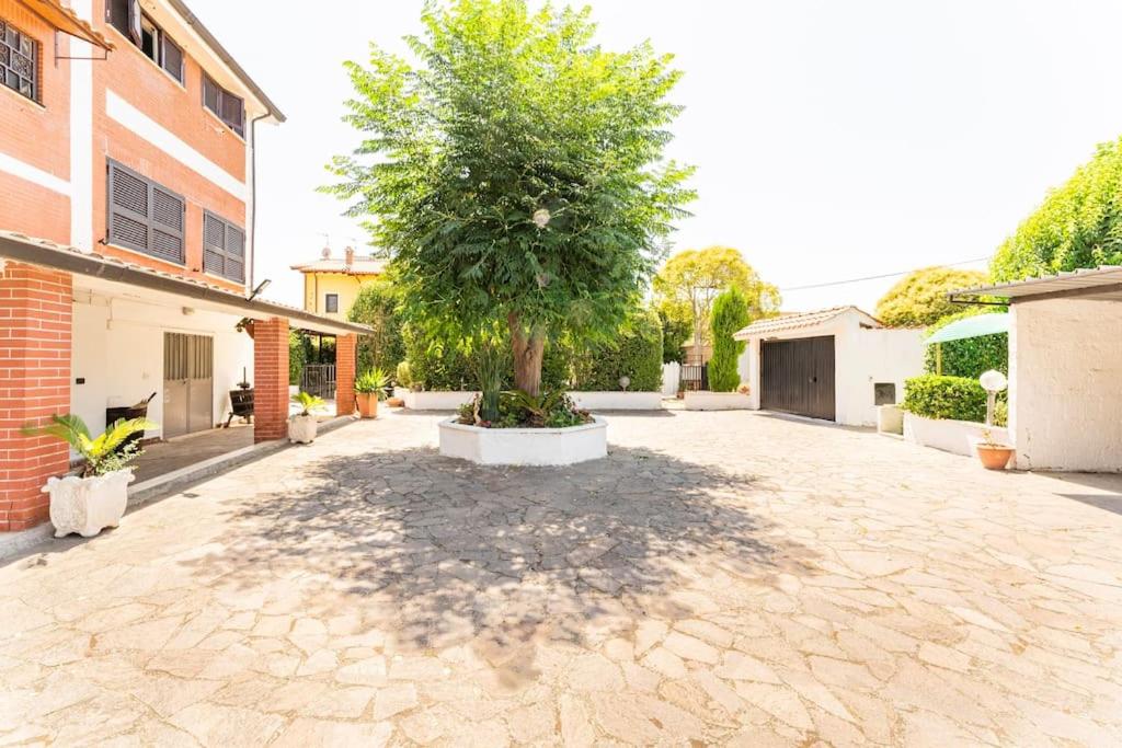 Come A Casa - B&B Ostia Antica