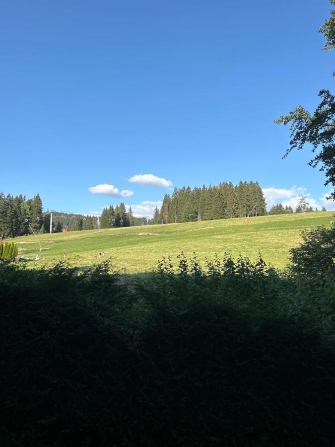 Très beau T1 refait à neuf - Chambres d’hôtes