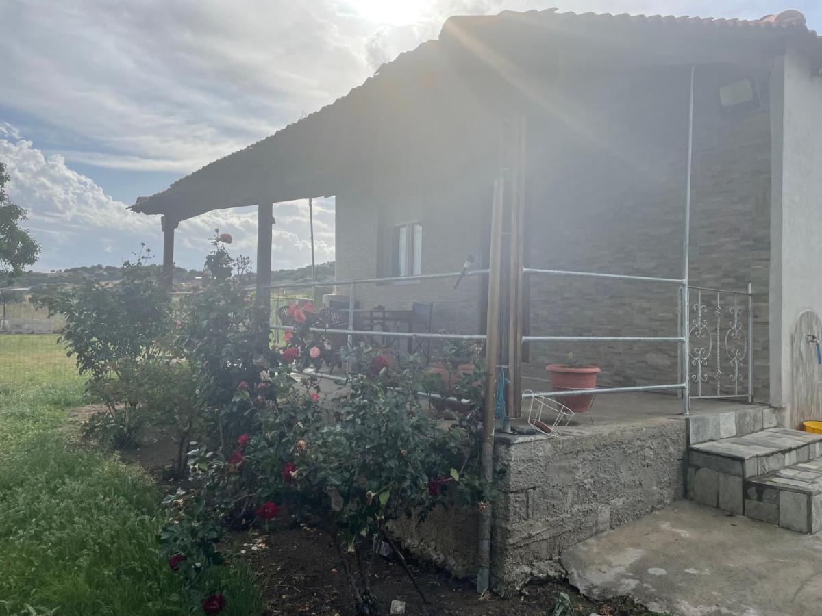 Villa Olympus - B&B