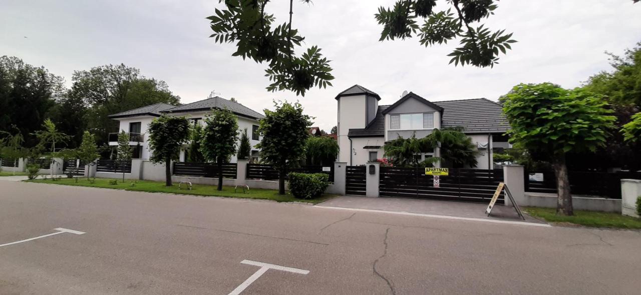 Apartment - Erdgeschoss