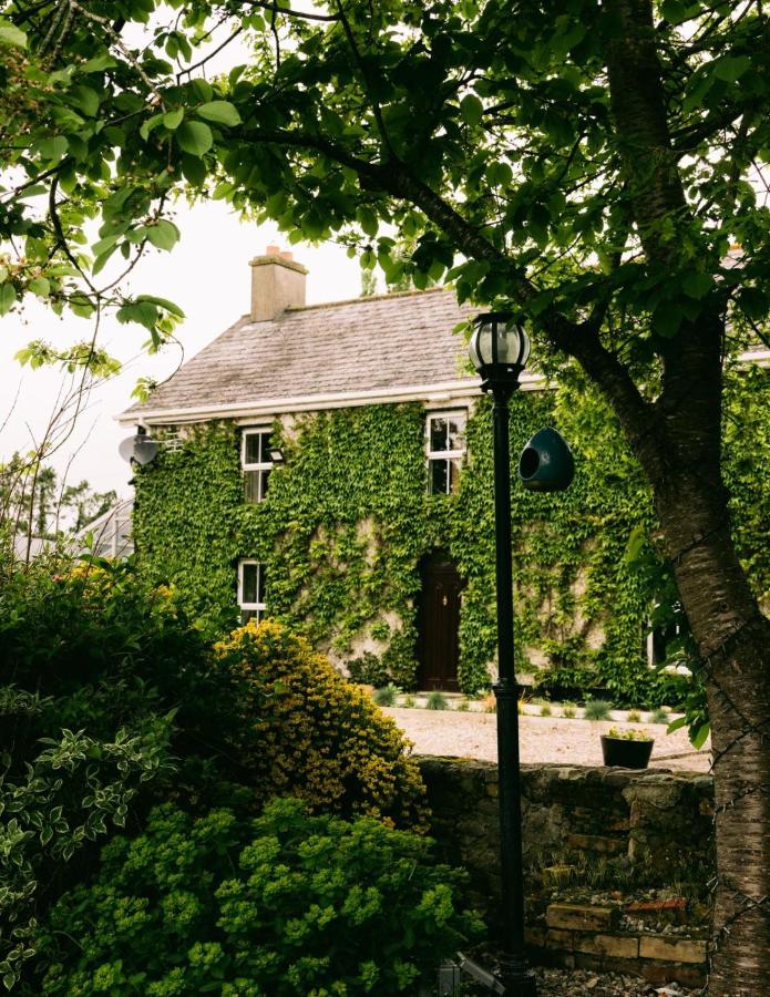 B&B Stradbally - Fitz Of Inch - Self Catering - Bed and Breakfast Stradbally