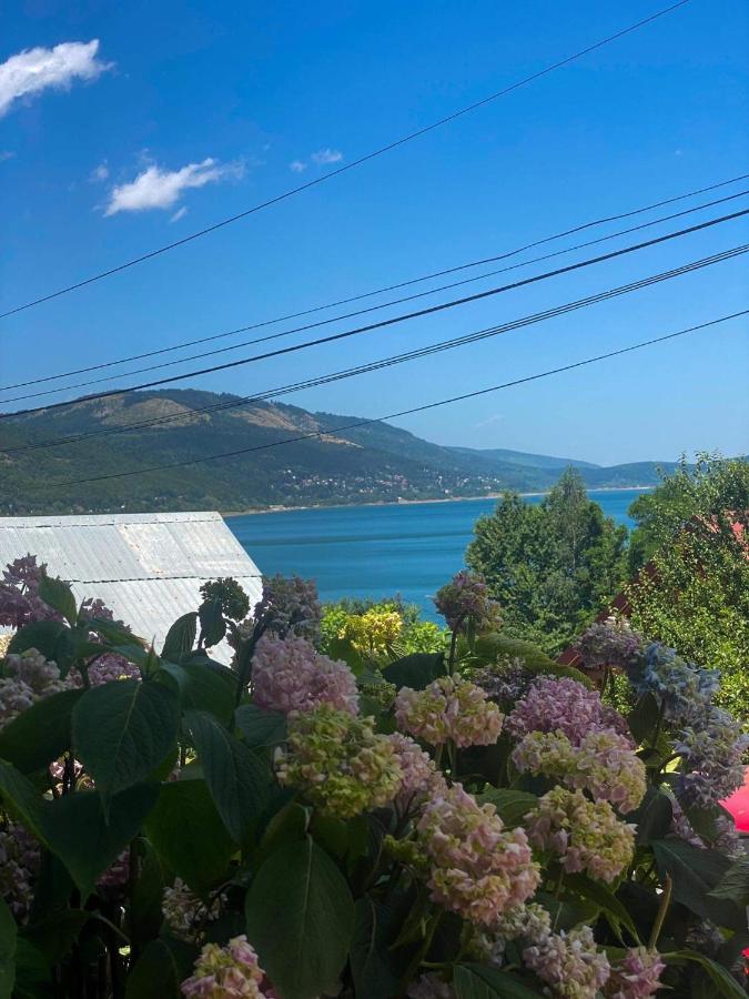 Petar Apartment - B&B