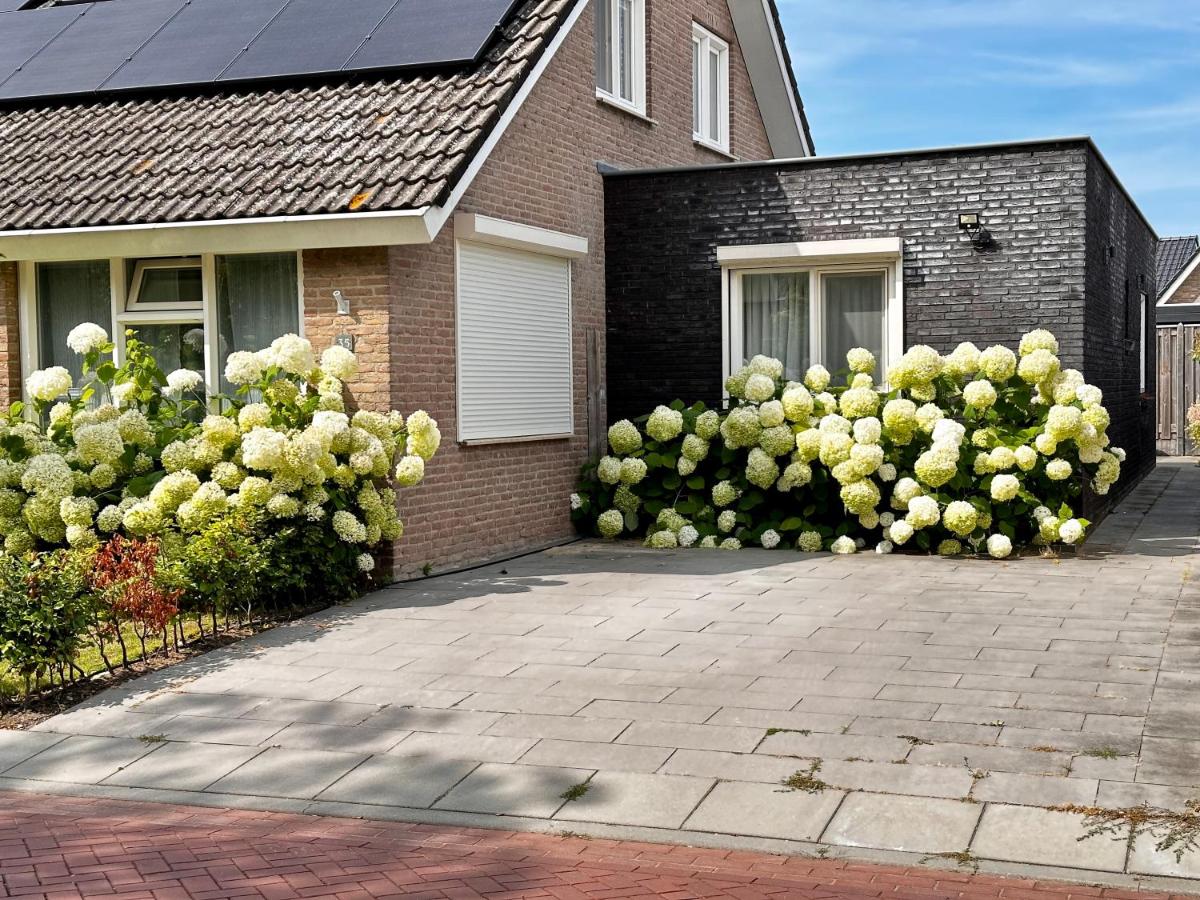 Zoutelande Koddelaan vakantiewoning - Ferienwohnung