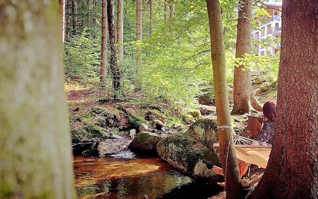 Apartamenty nad Złotym Potokiem - Ferienwohnung Szklarska Poręba