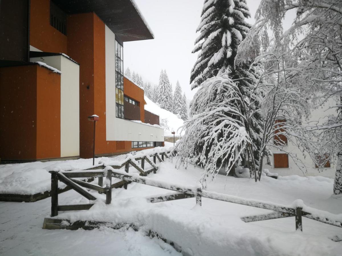 Luce Delle Dolomiti con navetta e sala giochi - Bed and Breakfast