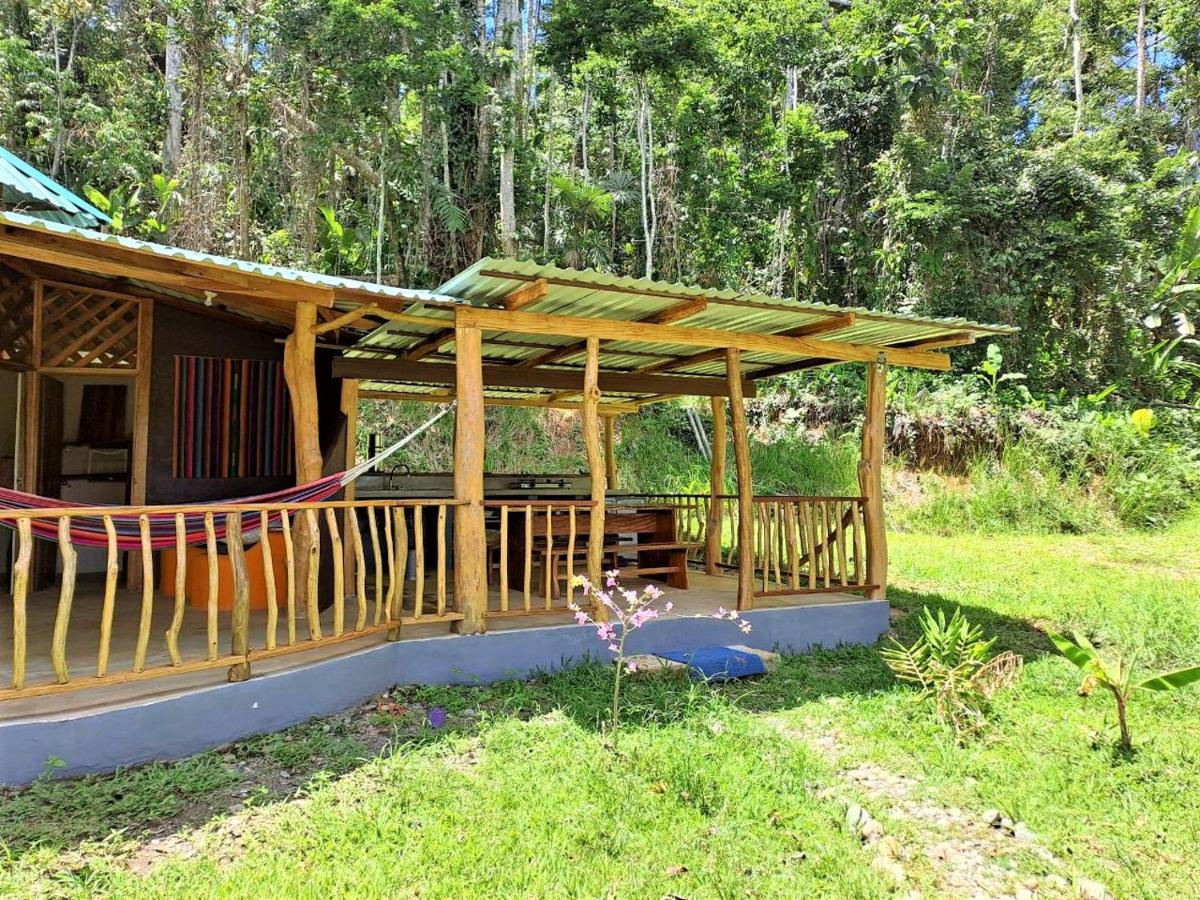 Terra NaturaMa - off grid living in the jungle - B&B Punta Uva