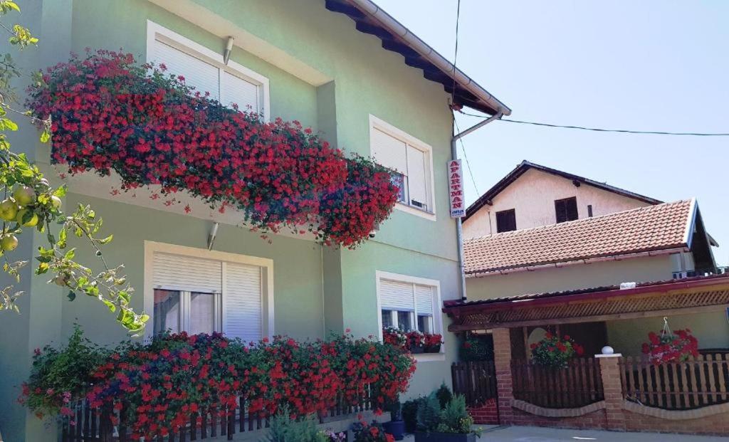 ANA - B&B Gračac