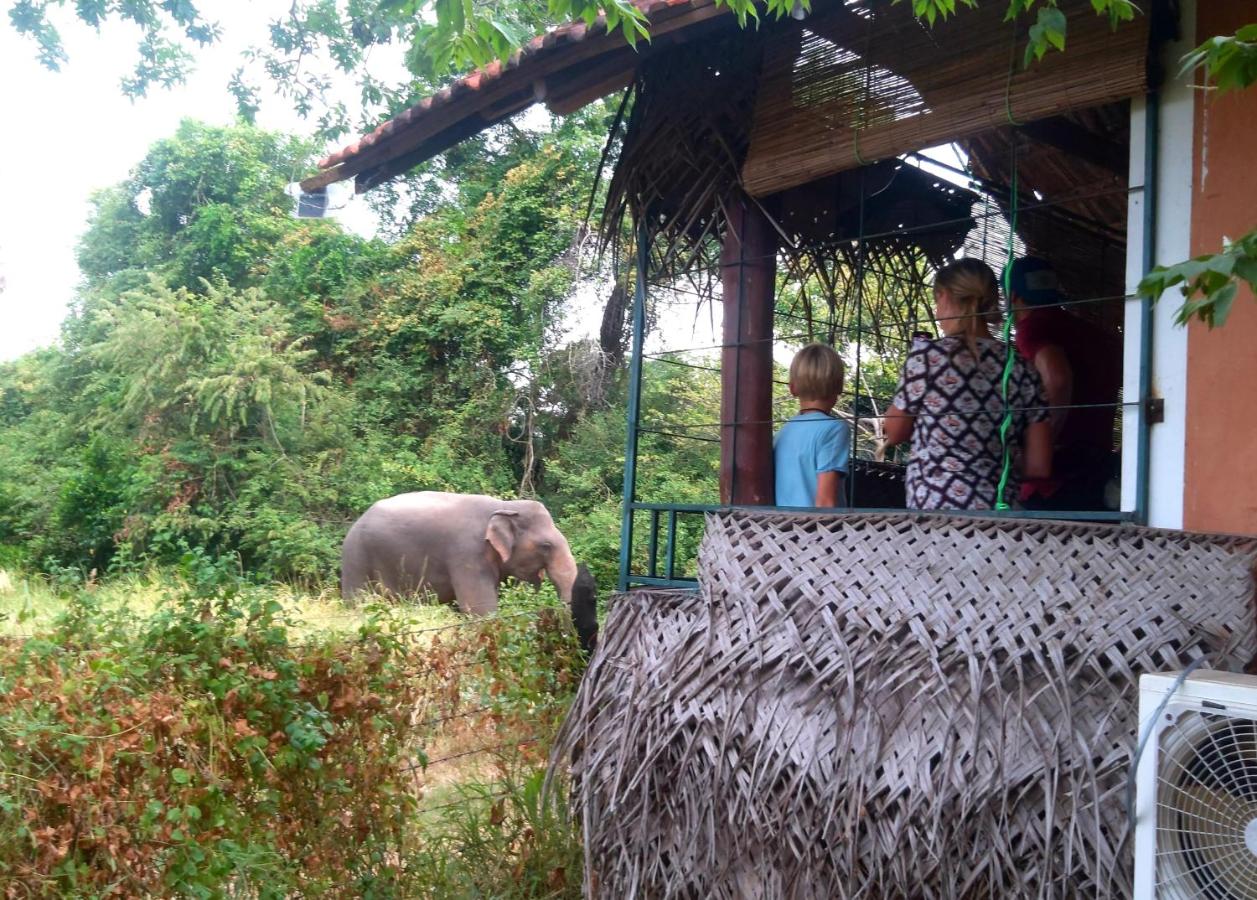 B&B Polonnaruwa - Lake Cabin - Bed and Breakfast Polonnaruwa