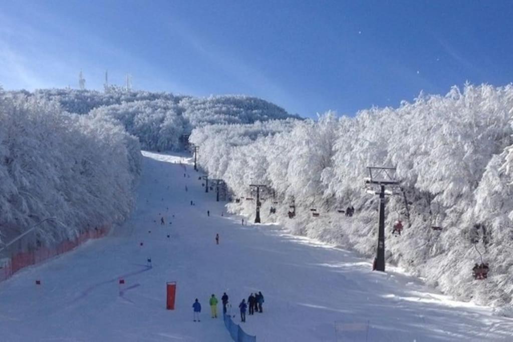 Appartement avec Balcon