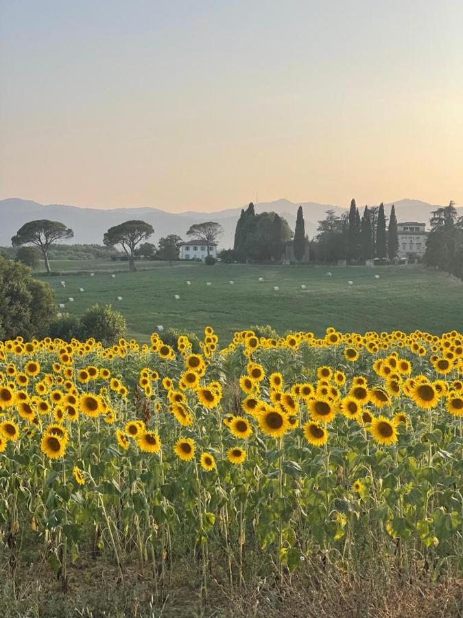 B&B Bucine - Casa le Rondini Toscana - Bed and Breakfast Bucine