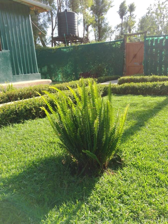Wooden Knee Cottages Nanyuki - B&B Nanyuki