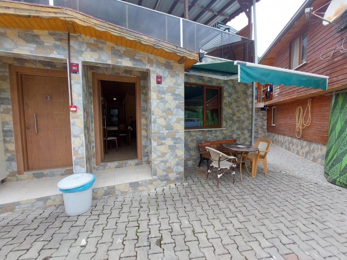 Apartment - Erdgeschoss