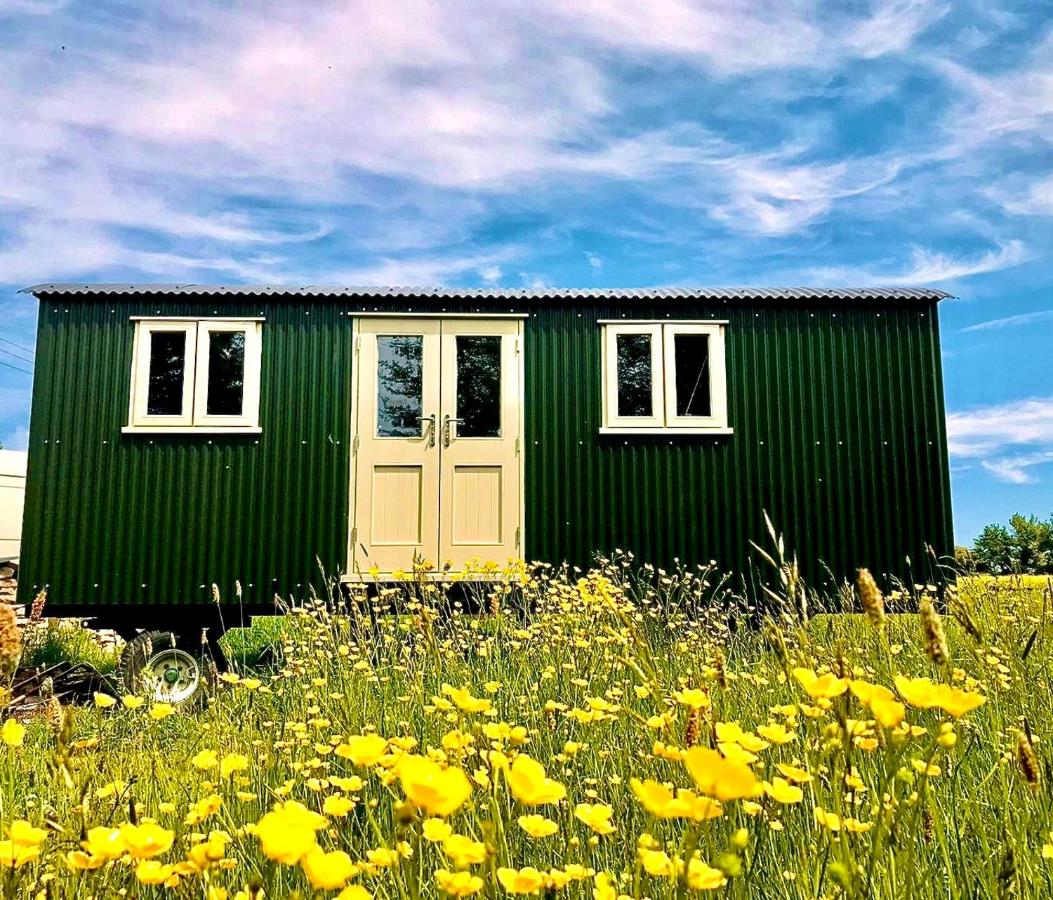 B&B Todber - Bathsheba, Luxurious Shepherds Hut set in Todber a hamlet set in Thomas Hardy's iconic rural Dorset - Bed and Breakfast Todber