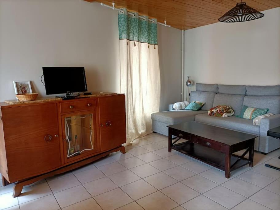 Agréable maison dans le centre historique - Chambres d’hôtes Le Puy-en-Velay