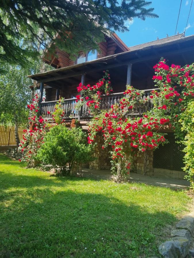 Cabana Haiducului - Chambres d’hôtes Soveja