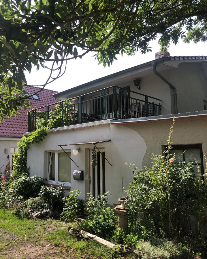 Cabana in Zweedorf an der Ostsee - Ferienwohnung Zweedorf