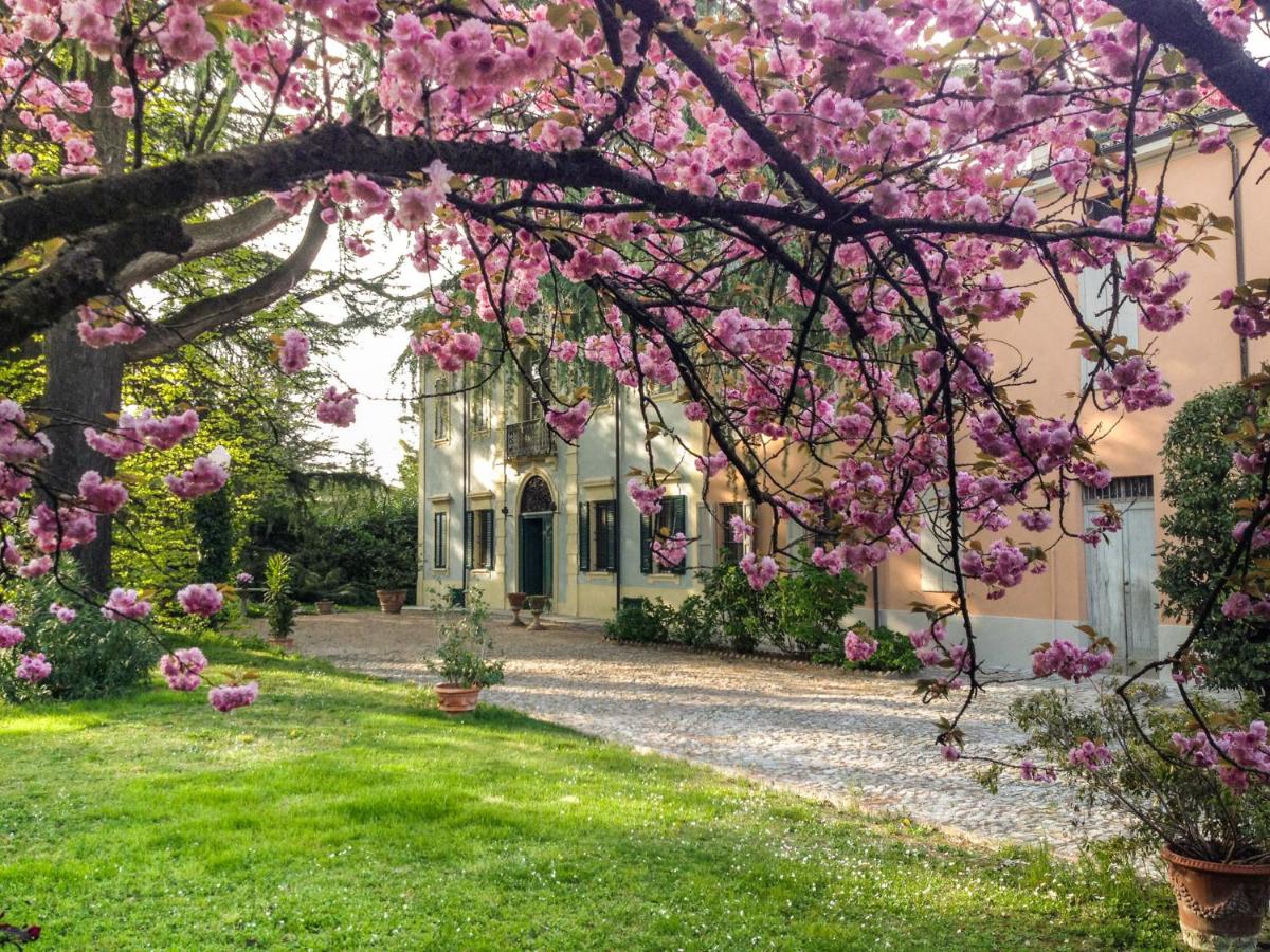 Corte Finzi - B&B