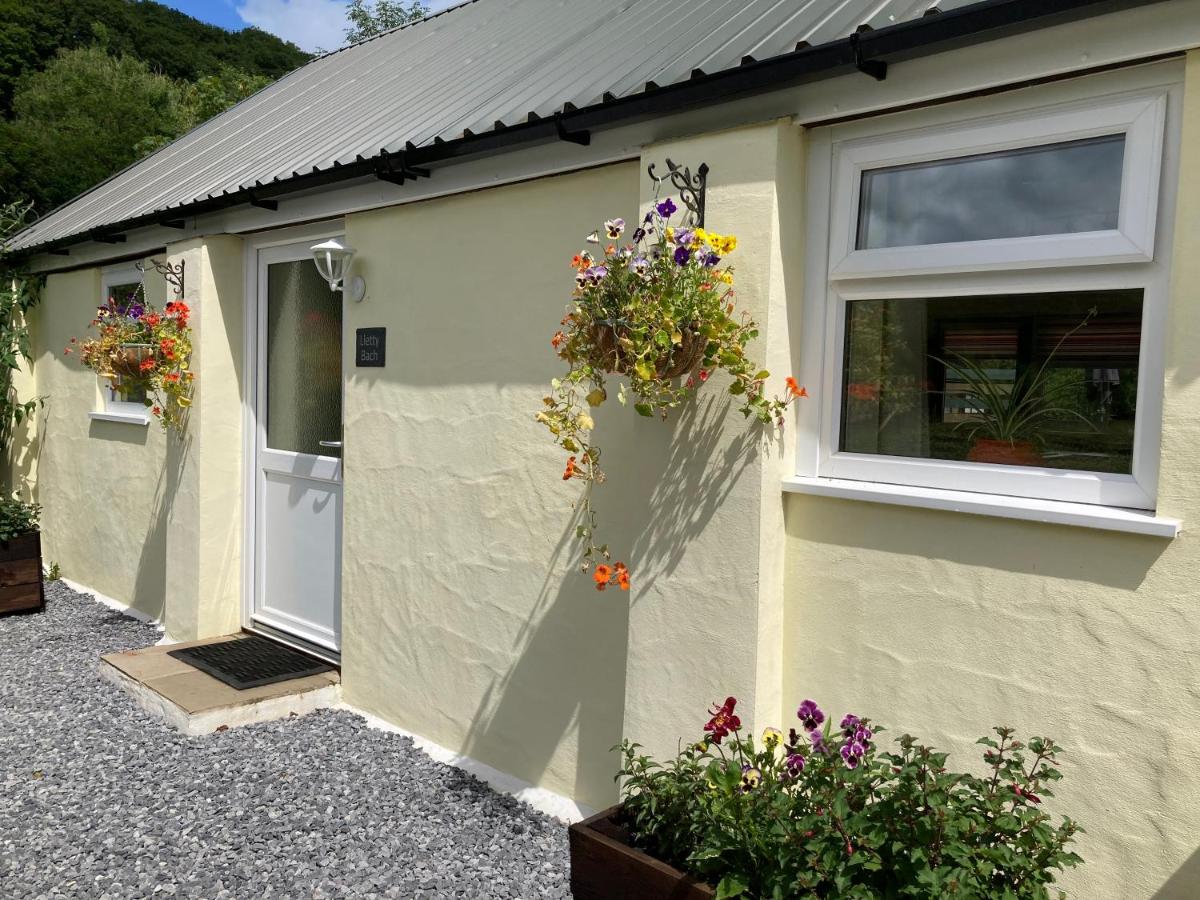 B&B Whitland - Lletty Bach - Bed and Breakfast Whitland