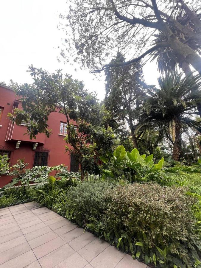 Nest House Condesa - B&B