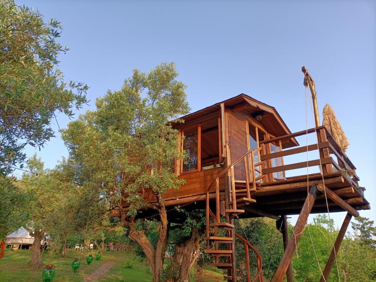 The Treehouse - Casa sull'albero al Golden Camp - B&B Falerna