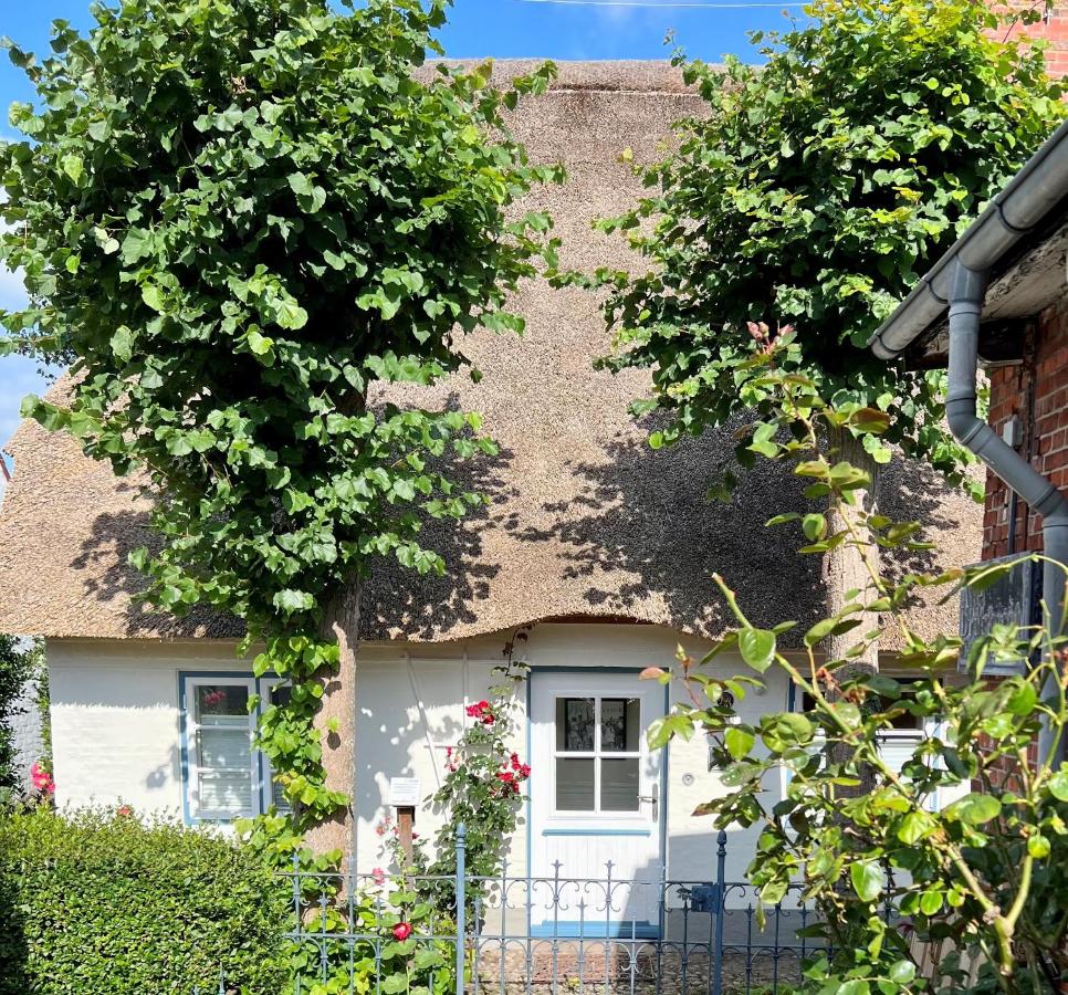 Luettliv-Huus I - Ferienwohnung Wyk auf Föhr